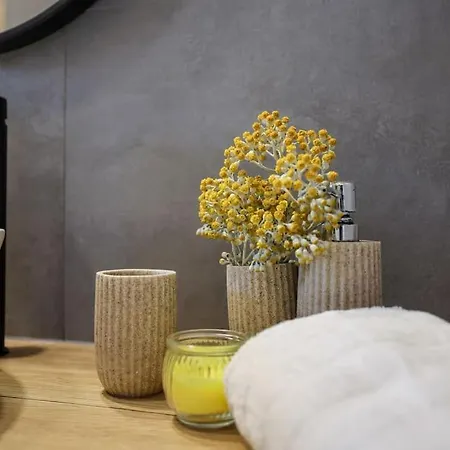 Apartment Nika